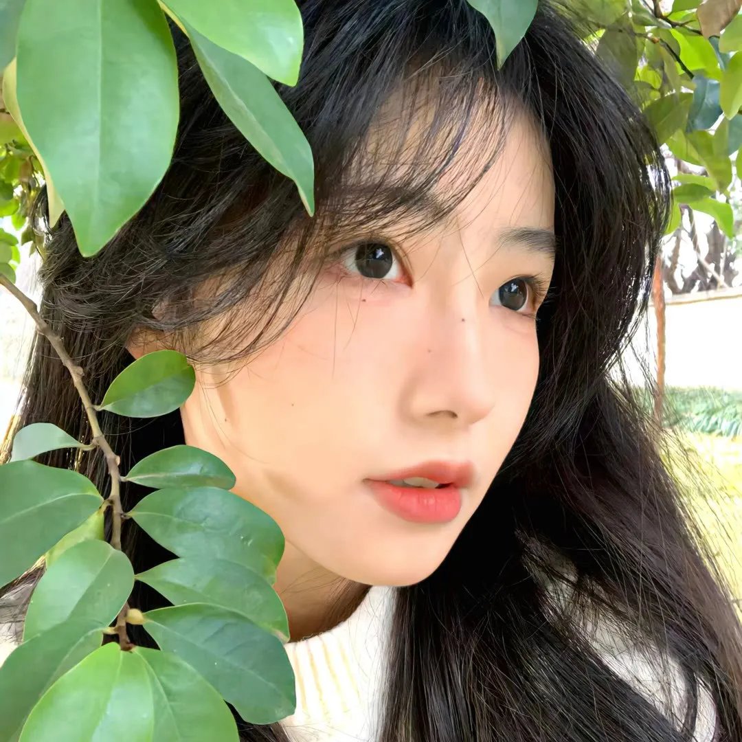 今夜百乐门第一季
